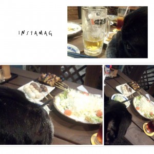 橋本 ワンコOK テラス