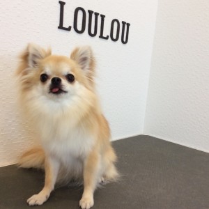 犬 ハーブパック